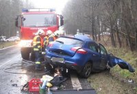 Tragická nehoda u Toužimi si vyžádala jeden lidský život - Toužim, Plzeň