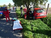 Řidič Peugeotu 206 narazil do stromu - Svijanský Újezd