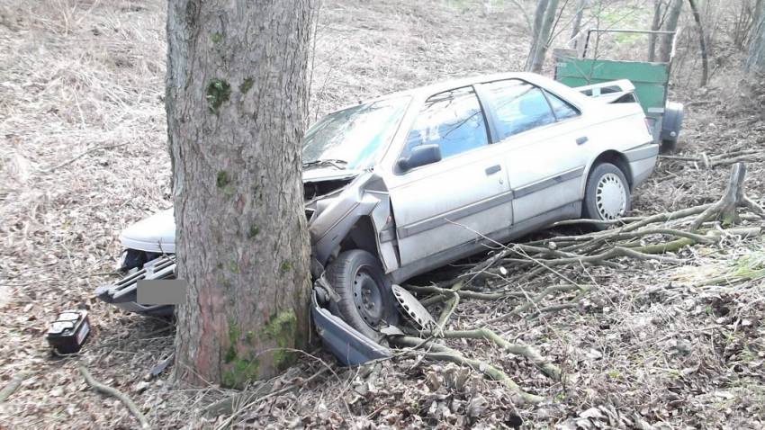 Řidič u Hroznětína přežil náraz do stromu - Hroznětín
