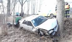 Řidič u Hroznětína přežil náraz do stromu - Hroznětín