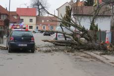 Přímo na kapotu projíždějícího auta shodil silný vítr vzrostlý strom - Hořice