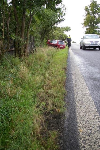 S 206kou do stromu - Bělá pod Bezdězem