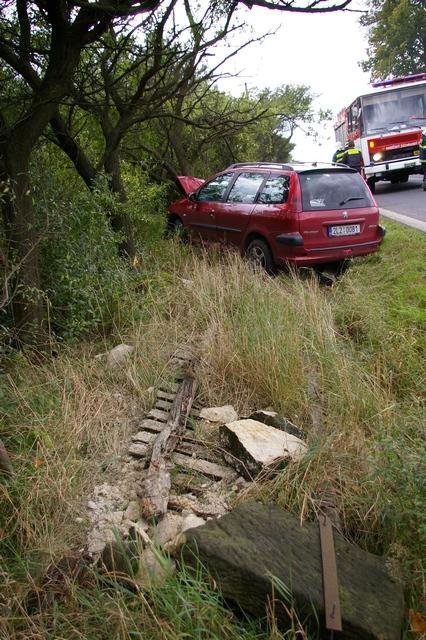 S 206kou do stromu - Bělá pod Bezdězem