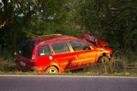 S 206kou do stromu - Bělá pod Bezdězem