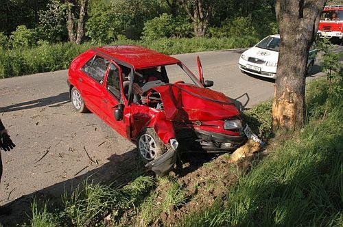 Felicie narazila čelně do vzrostlého stromu - Prusinovice