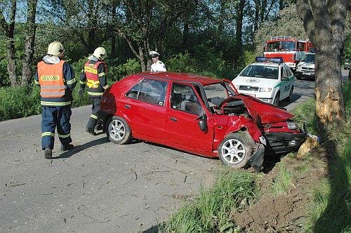 Felicie narazila čelně do vzrostlého stromu - Prusinovice