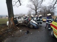 Polský řidič narazil do stromu - Frýdlant, Řasnice