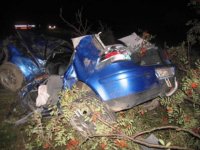 Mladý řidič nepřežil náraz do stromu - Rokytnice v Orlických horách