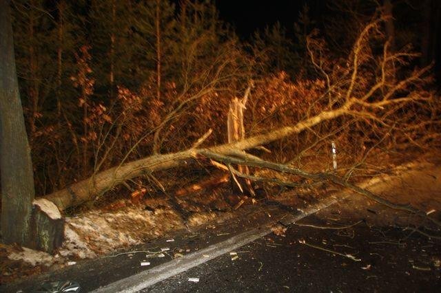 Nepřiměřená rychlost měla za následek smrt řidiče - Horní Bříza