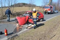 Náraz do stromu řidič škodovky nepřežil - Žlutice