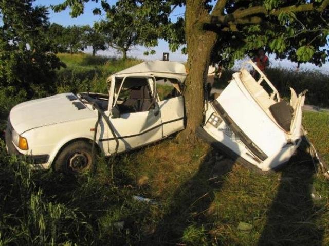 Nezkušený řidič zavinil tragickou nehodu - Mašovice