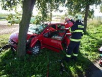 Řidič Peugeotu 206 narazil do stromu