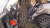 Řidička narazila autem do stromu, nehodu nepřežila - Planá