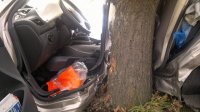Řidička narazila autem do stromu, nehodu nepřežila - Planá