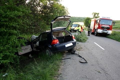 Mladíci nepřežili náraz do stromu - Velké Pavlovice