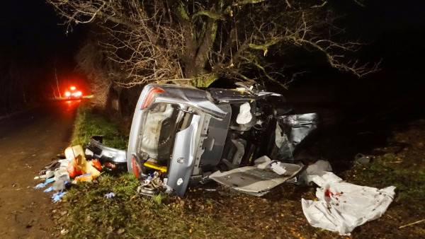 U Dolních Řasnic narazilo auto do stromu - Dolní Řasnice