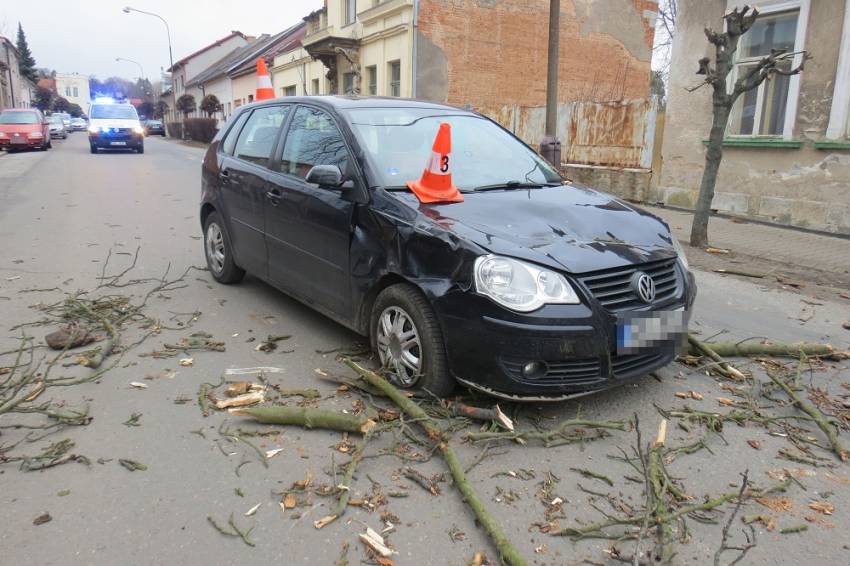 Přímo na kapotu projíždějícího auta shodil silný vítr vzrostlý strom - Hořice