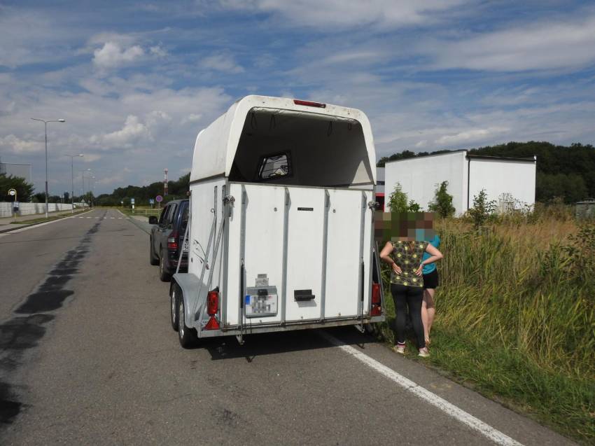 Vezl 18 dětí z tábora v přepravníku na koně, auto navíc nemělo technickou - Staré Čívice