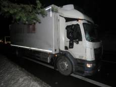 Kůň pobíhal na hlavní silnici u Hradce Králové, střet s náklaďákem nepřežil - Býšť